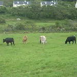 Iveragh Heights Cahersiveen