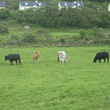 Iveragh Heights Cahersiveen