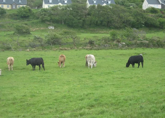 Iveragh Heights Cahersiveen